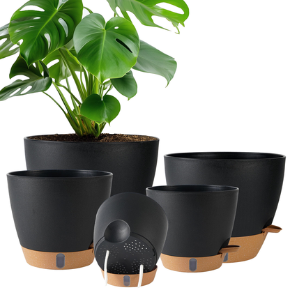 Simple Office Plant Pot - Assorted