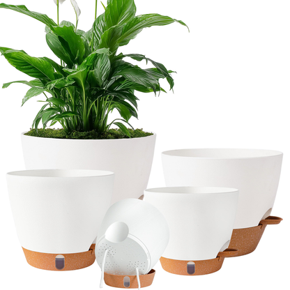 Travel Office Plant Pot - 2 Pack