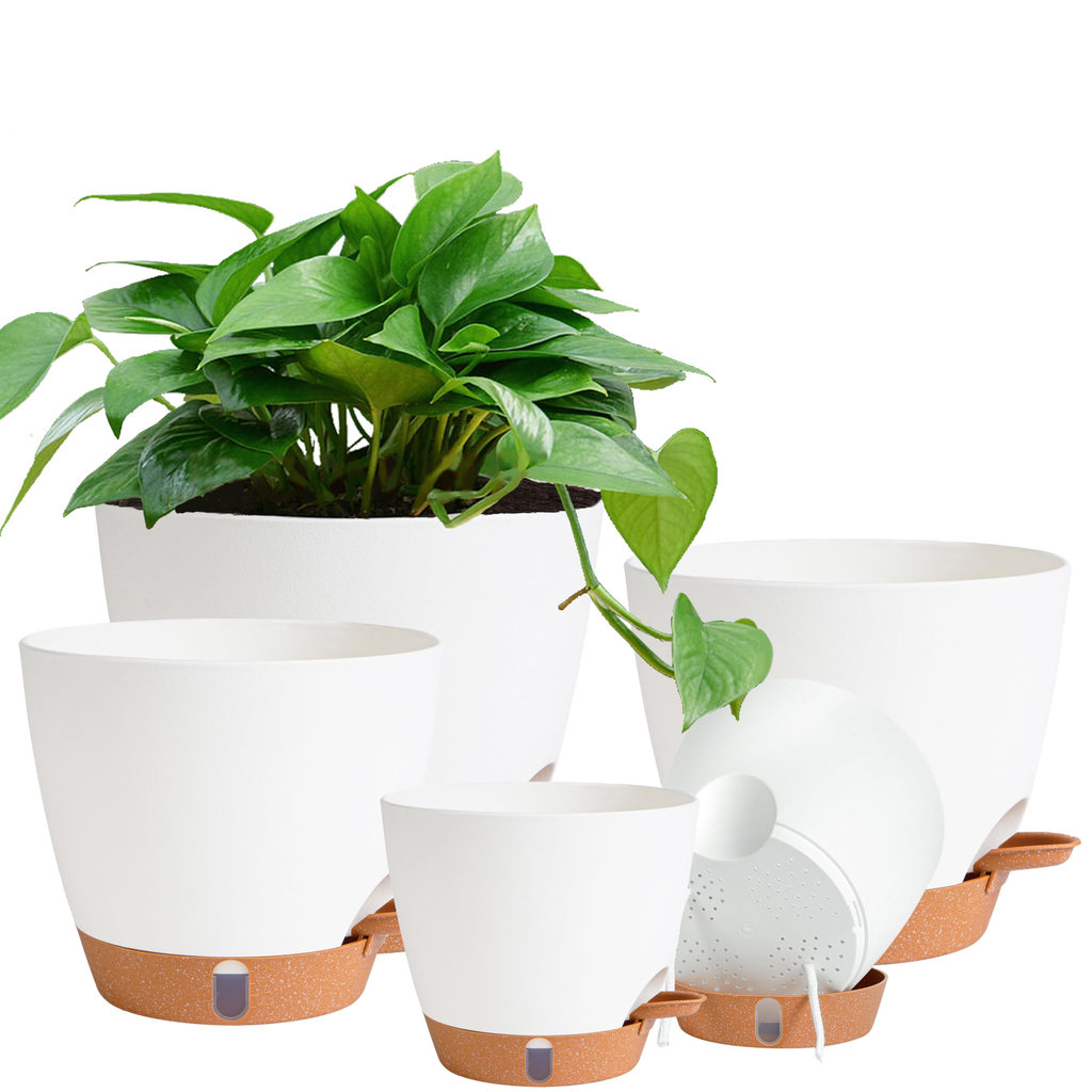 Travel Office Plant Pot - Assorted